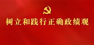 树立和践行正确政绩观学习教育